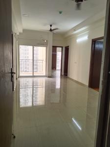 Hall Image of 1301 Sq.ft 3 BHK Apartment / Flat for rent in Amrapali Verona Heights, Noida Extension Greater Noida for Rs. 21000