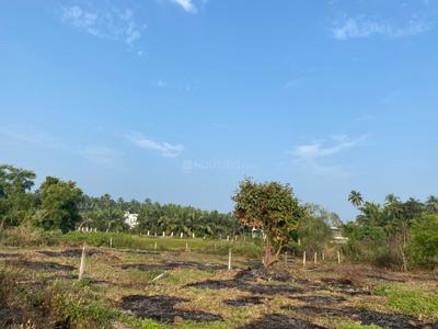Image of 6000 Sq.ft Residential Plot / Land for sale in Nagaon, Alibag for Rs. 9600000
