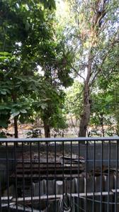 Balcony Image of 1125 Sq.ft 3 BHK Builder Floor for sale in Naraina New Delhi for Rs. 25000000
