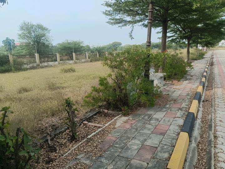 Devender Colony Plot View 1