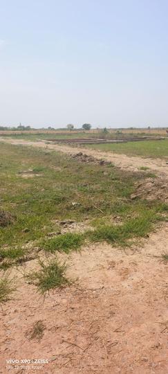 Royal green society Main Image 1