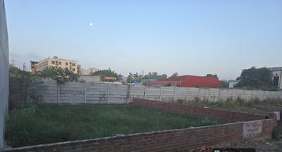 Anora Kala Plot View 1
