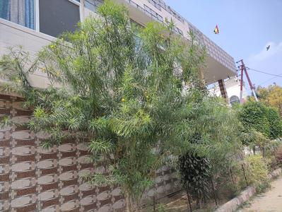 Image of 1700 Sq.ft 5 BHK Villa for sale in Pushpanjali Baikunth Plots, Dhorera Bangar, Vrindavan for Rs. 23500000
