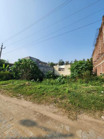 Sector 115 Main Image 1