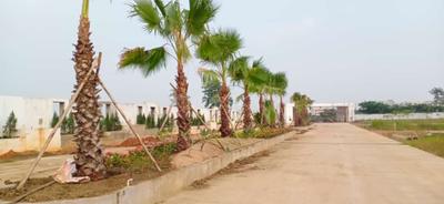 Image of 1212 Sq.ft Residential Plot / Land for sale in Kamal Vihar, Raipur for Rs. 3636000