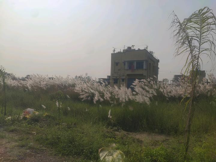 Metroplex City Main Image 1