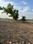 Eint Khedi Main Image 1