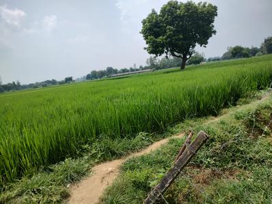 Image of 91800 Sq.ft Residential Plot / Land for sale in Sultanpur Road, Lucknow for Rs. 45000000