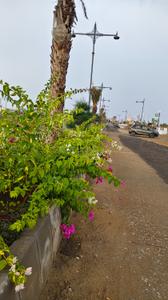 Image of 1100 Sq.ft Residential Plot / Land for sale in Chaksu, Jaipur for Rs. 3416111