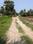 Natures Paradise Internal Roads 2