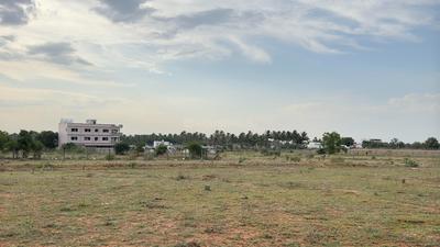 Residential Plot