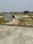 Mohanlalganj Main Image 1