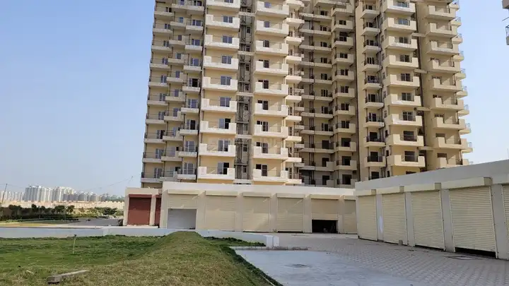 Pivotal Riddhi Siddhi Main Image 1