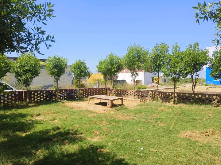 Dhankot Main Image 1