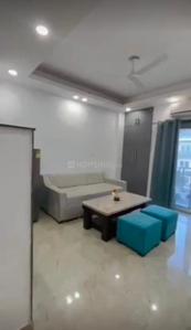 Hall Image of 560 Sq.ft 1 BHK Apartment / Flat for rent in Alcove Gloria, Lake Town Kolkata for Rs. 12000
