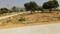 Yesh Mega City Phase 01 Main Image 1