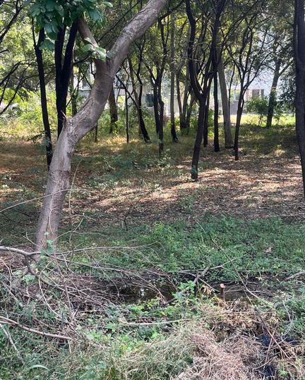 Suramya 1 Main Image 1