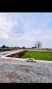 Image of 1500 Sq.ft Residential Plot / Land for sale in Bodri, Bilaspur for Rs. 3750000