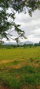 Agricultural Land