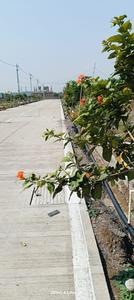 Image of 660 Sq.ft Residential Plot / Land for sale in Bhilai Marshalling Yard, Charoda for Rs. 1122000