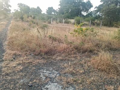 Image of 2152 Sq.ft Residential Plot / Land for sale in Sairung City, Nerhe, Pune for Rs. 3450000