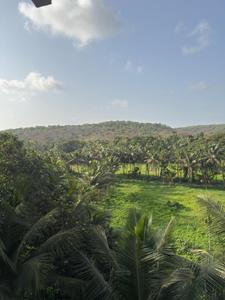 Balcony Image of 1829 Sq.ft 3 BHK Apartment / Flat for sale in Assagao Goa for Rs. 41000000