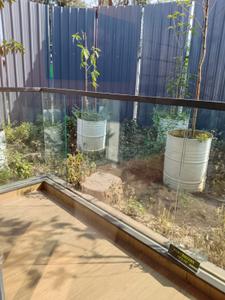 Balcony Image of 1925 Sq.ft 3 BHK Apartment / Flat for sale in Tayal Envogue 1 , Mundhwa Pune for Rs. 17500000