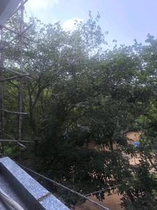 Bedroom Three Image of 3151 Sq.ft 5 BHK Apartment / Flat for sale in Bangalore City Municipal Corporation Layout Bengaluru for Rs. 29000000