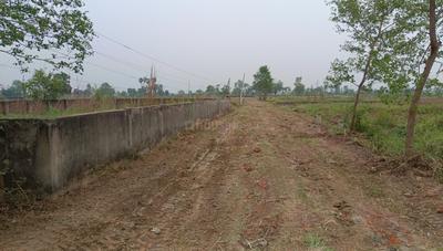 Phulwari Sharif Plot View 2