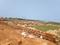 Patrapada Plot View 2