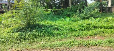 Image of 2175 Sq.ft Residential Plot / Land for sale in Kavoor, Mangalore for Rs. 4500000