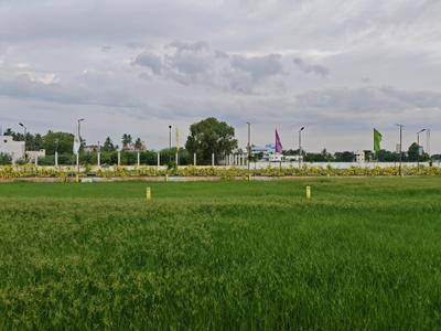 Image of 900 Sq.ft Residential Plot / Land for sale in Adhanur, Chennai for Rs. 4229101