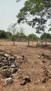 Image of 244 Sq.ft Residential Plot / Land for sale in G. Konduru, Vijayawada for Rs. 4500000