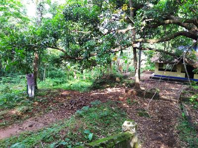 Image of 8711 Sq.ft Residential Plot / Land for sale in Parambil Bazar, Kozhikode for Rs. 300000