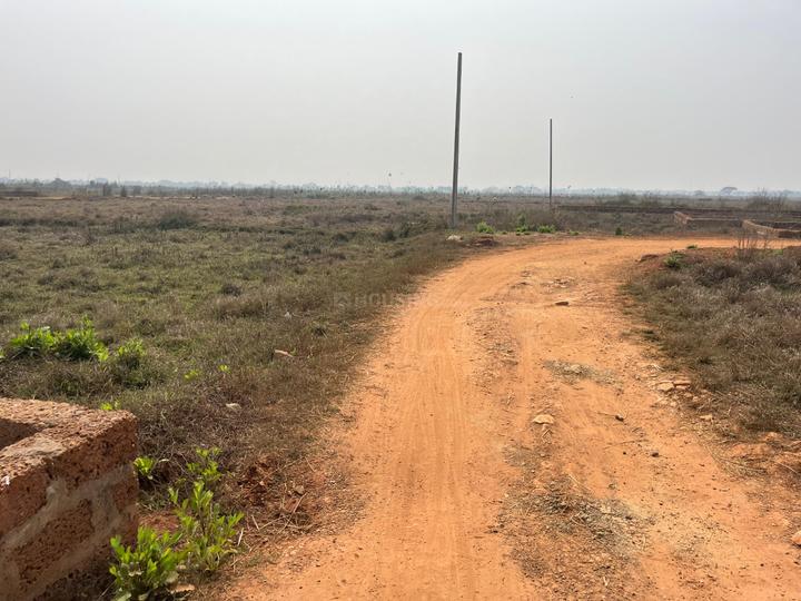 Patrapoda Main Image 1