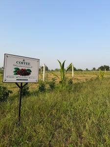 Image of 8000 Sq.ft Residential Plot / Land for sale in Kathadih, Raipur for Rs. 4600000
