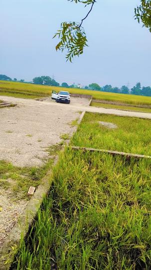 Society  Main Image 1