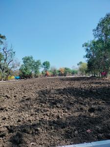 Image of 20720 Sq.ft Residential Plot / Land for sale in Umrikheda, Indore for Rs. 103600000