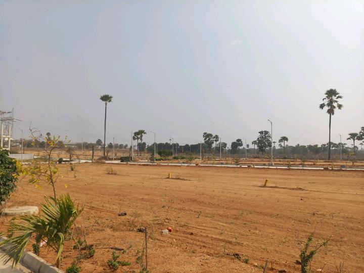 SGD Elite Main Image 1