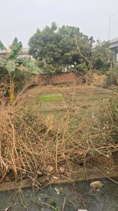 Residential Plot