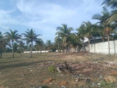 Image of 8000 Sq.ft Residential Plot / Land for sale in Muttukadu, Chennai for Rs. 9600000