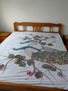 Bedroom Image of 600 Sq.ft 1 BHK Apartment / Flat for rent in Tyagi Build Uttam Townscape Elite, Yerawada Pune for Rs. 20500