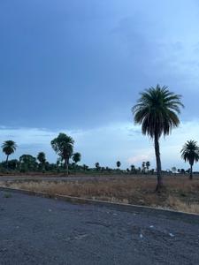 Image of 1000 Sq.ft Residential Plot / Land for sale in Naya Raipur, Raipur for Rs. 599000