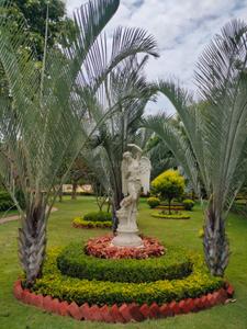 Residential Plot
