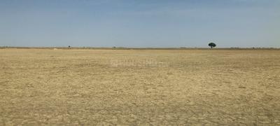 Thol Plot View 2