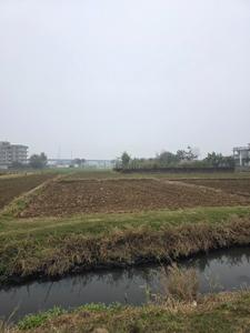 Image of 1361 Sq.ft Residential Plot / Land for sale in Shivala Par, Patna for Rs. 6500000
