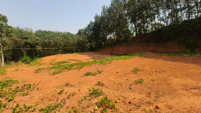 Image of 19600 Sq.ft Residential Plot / Land for sale in Kolenchery, Kochi for Rs. 4500000