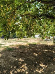 Image of 7201 Sq.ft Residential Plot / Land for sale in Palam Vihar, Gurgaon for Rs. 180000000