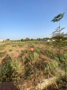 Rajdhani Koba Plot View 2