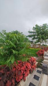 Image of 1060 Sq.ft Residential Plot / Land for sale in Bhilai Marshalling Yard, Charoda for Rs. 1802000